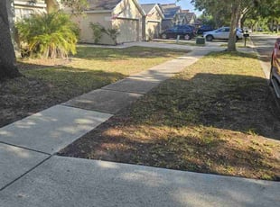 Leaf Removal by Orlando Powell for Mary M. in Lithia, FL