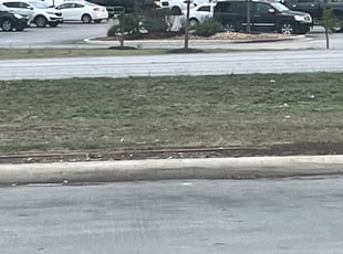 Leaf Removal by Luis Melendez for John M. in Helotes, TX