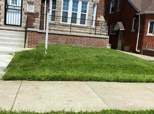 Laurence W.'s Grass Cutting service result