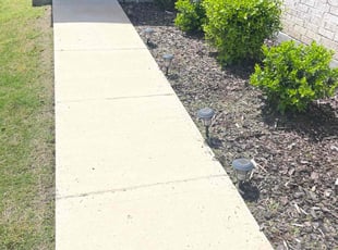 Weeding by Gabriel Piedra for Marcy M. in Little Elm, TX