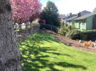 Kevin G.'s Yard Cutting service result