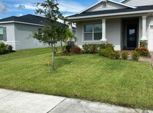Sandra B.'s Lawn Care service result