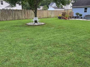 Lauren B.'s Grass Cutting service result