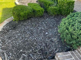 Weeding by Severa Rosie Lara for Laura F. in Euless, TX