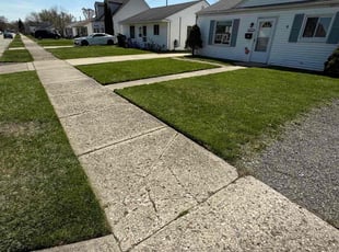 Brandon S.'s Lawn Care service result