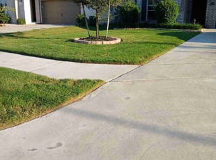 Rob M.'s Grass Cutting service result