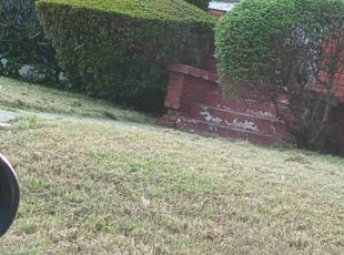 Bush Trimming by Donerica Horton for Marcellus B. in Memphis, TN