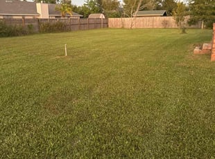 Monica L.'s Lawn Mowing Service service result