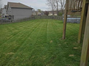 Keilah S.'s Lawn Care service result