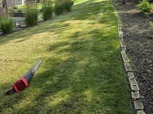 Dwayne M.'s Lawn Service service result