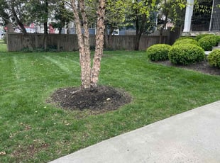Stuart D.'s Yard Cutting service result