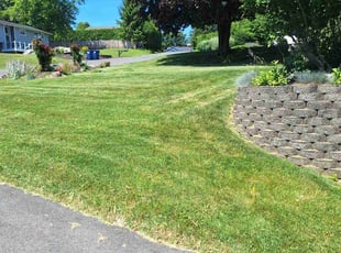 Amy B.'s Lawn Maintenance service result