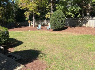 Leaf Removal by Green Juniper for Clarence D. in Morrisville, NC