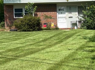 Laura G.'s Lawn Maintenance service result