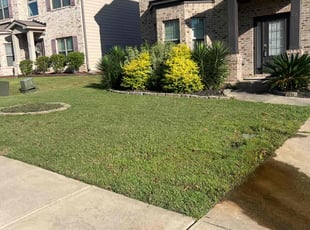 Toni W.'s Yard Cutting service result