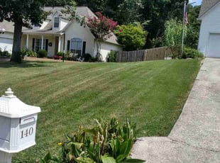 Joan A.'s Yard Cutting service result