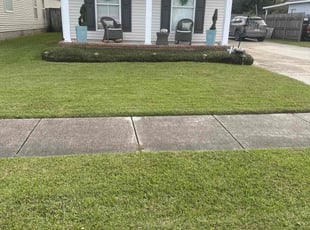 Marjorie S.'s Lawn Mowing service result