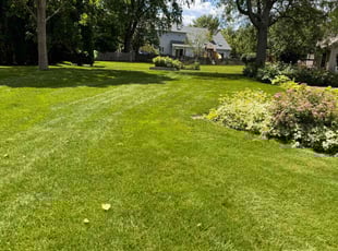Steve V.'s Lawn Mowing service result
