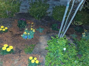 Weeding by Jeff Lock for Christina G. in Clayton, NC