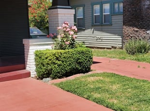 Bush Trimming by Joshua Catlin for Tressa W. in Stockton, CA