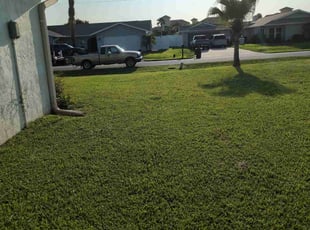 Joseph Z.'s Lawn Mowing service result