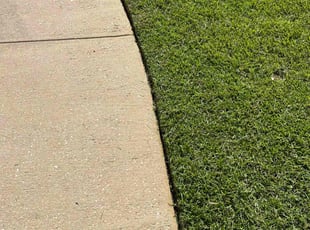 Tiffany W.'s Lawn Service service result