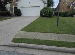 Tyrone H.'s Lawn Mowing service result