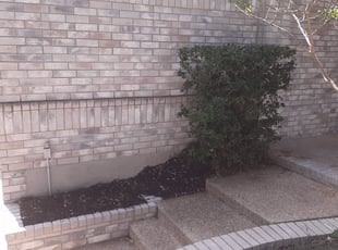 Bush Trimming by Gregory Kluetz for Aaron H. in San Antonio, TX