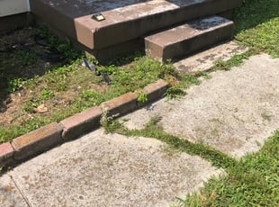Cleanups by Josh Neely for Scott S. in Nashville, TN