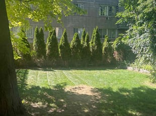Bush Trimming by Michael Williams for Tim B. in Milwaukee, WI
