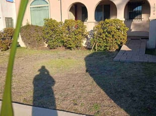 Weeding by Jose Martinez for Barbara R. in Los Angeles, CA