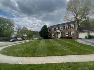 Anthony B.'s Lawn Mowing service result
