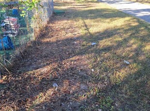 Leaf Removal by Peterson Dariste for Huong N. in Port Charlotte, FL