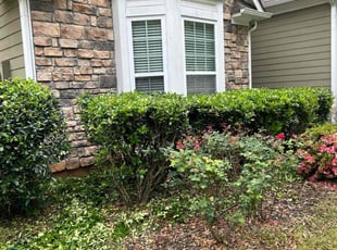 Bush Trimming by Carina Funches for Shaun A. in Locust Grove, GA