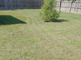 Bush Trimming by Sergio Pineda for Berta D. in Houston, TX