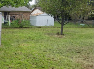 Bush Trimming by Damien Johnson for Lynn Q. in Burleson, TX