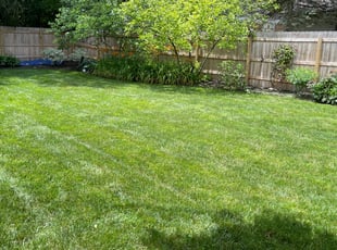 Melissa L.'s Lawn Care service result