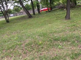 Weeding by candelario castillo for Walter C. in Alexandria, VA