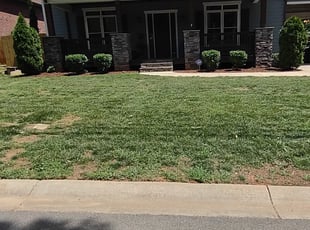 Bush Trimming by Michael Cherry for John C. in Charlotte, NC