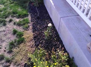 Weeding by Tanya Walker for Brandon P. in Colorado Springs, CO