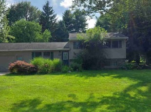Rose S.'s Yard Cutting service result