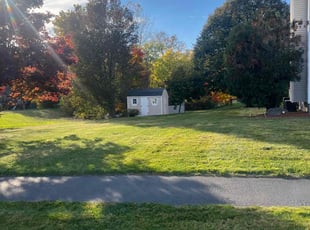 Jeremy T.'s Lawn Care service result