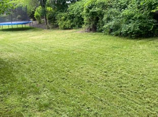 Dwayne J.'s Yard Cutting service result