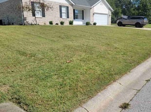 Ursula T.'s Lawn Mowing service result