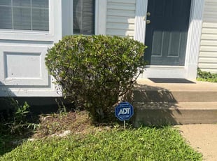 Dottie S.'s Bush Trimming service result