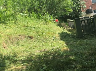 Weeding by Ronnie Murphy for Latoya J. in Cincinnati, OH