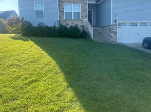Jasmine L.'s Yard Cutting service result