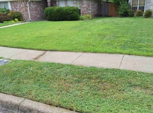 Jennifer M.'s Lawn Service service result