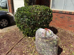 Bush Trimming by Steven Moreira for Gail T. in Norfolk, VA
