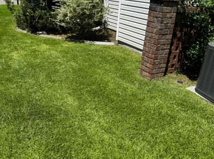Susan H.'s Lawn Care service result